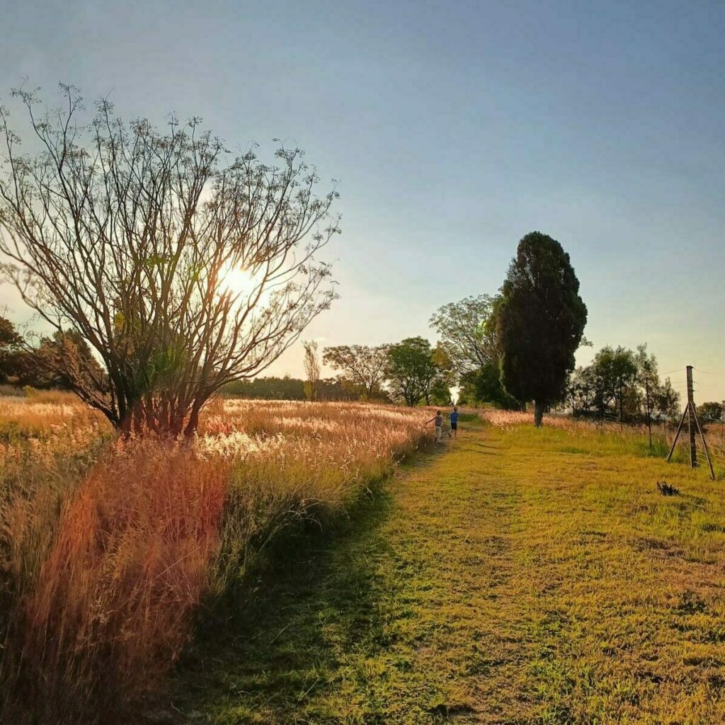 IMG-20230409-WA0018 1